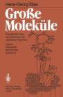 Grosse Molekule : Plaudereien UEber Synthetische Und Naturliche Polymere - Book