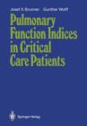 Pulmonary Function Indices in Critical Care Patients - Book