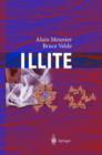 Illite : Origins, Evolution and Metamorphism - Book