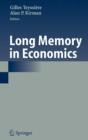 Long Memory in Economics - Book