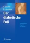 Der Diabetische Fuss : Interdisziplinare Diagnostik und Therapie - Book
