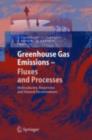 Greenhouse Gas Emissions - Fluxes and Processes : Hydroelectric Reservoirs and Natural Environments - eBook