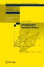 Multiplicative Invariant Theory - eBook