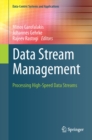 Data Stream Management : Processing High-Speed Data Streams - eBook