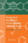 Biochemical Mechanisms of Detoxification in Higher Plants : Basis of Phytoremediation - eBook