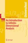 An Introduction to Infinite-Dimensional Analysis - Book