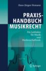 Praxishandbuch Musikrecht : Ein Leitfaden Fur Musik- Und Medienschaffende - Book