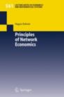 Principles of Network Economics - eBook