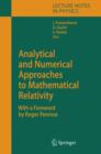 Analytical and Numerical Approaches to Mathematical Relativity - Book