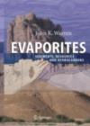 Evaporites:Sediments, Resources and Hydrocarbons - eBook