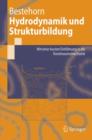 Hydrodynamik Und Strukturbildung : MIT Einer Kurzen Einfuhrung in Die Kontinuumsmechanik - Book