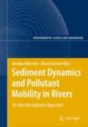 Sediment Dynamics and Pollutant Mobility in Rivers : An Interdisciplinary Approach - eBook