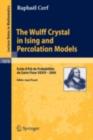 The Wulff Crystal in Ising and Percolation Models : Ecole d'Ete de Probabilites de Saint-Flour XXXIV - 2004 - eBook