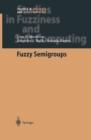 Fuzzy Semigroups - eBook