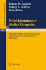 Trivial Extensions of Abelian Categories : Homological Algebra of Trivial Extensions of Abelian Catergories with Applications to Ring Theory - eBook