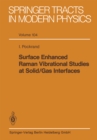Surface Enhanced Raman Vibrational Studies at Solid Gas Interfaces - eBook