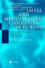 Small and Medium Sized Companies in Europe : Environmental Performance, Competitiveness and Management: International EU Case Studies - Book