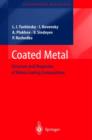 Coated Metal : Structure and Properties of Metal-coating Compositions - Book