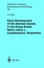 Early Development of the Adrenal Glands in the Grass Snake Natrix natrix L. (Lepidosauria, Serpentes) - Book