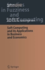 Soft Computing and its Applications in Business and Economics - eBook