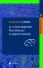 p-Electron Magnetism : From Molecules to Magnetic Materials - eBook
