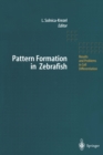 Pattern Formation in Zebrafish - eBook