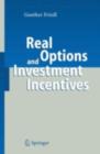 Real Options and Investment Incentives - eBook