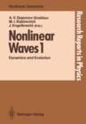 Nonlinear Waves 1 : Dynamics and Evolution - Book