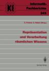Repreasentation Und Verarbeitung Reaumlichen Wissens : Interdisziplinaren Workshop : Papers - Book