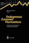 Endogenous Economic Fluctuations : Studies in the Theory of Rational Beliefs - Book