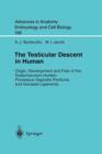The Testicular Descent in Human : Origin, Development and Fate of the Gubernaculum Hunteri, Processus Vaginalis Peritonei, and Gonadal Ligaments - Book