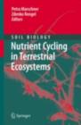 Nutrient Cycling in Terrestrial Ecosystems - eBook