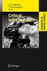 Critical Infrastructure : Reliability and Vulnerability - Book