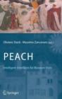 PEACH - Intelligent Interfaces for Museum Visits - Book