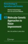 Molecular Genetic Approaches to Maize Improvement - eBook