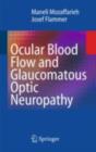 Ocular Blood Flow and Glaucomatous Optic Neuropathy - eBook