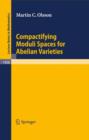 Compactifying Moduli Spaces for Abelian Varieties - Book