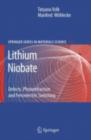 Lithium Niobate : Defects, Photorefraction and Ferroelectric Switching - eBook