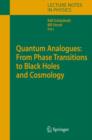 Quantum Analogues: From Phase Transitions to Black Holes and Cosmology - eBook
