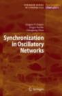 Synchronization in Oscillatory Networks - eBook
