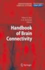 Handbook of Brain Connectivity - eBook