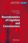 Neurodynamics of Cognition and Consciousness - eBook