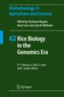 Rice Biology in the Genomics Era - eBook