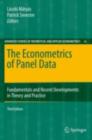 The Econometrics of Panel Data : Fundamentals and Recent Developments in Theory and Practice - eBook