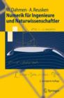 Numerik Fur Ingenieure Und Naturwissenschaftler - Book