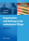 Organisation Und Haftung in Der Ambulanten Pflege : Praxisbuch - Book