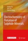 Electrochemistry of Flotation of Sulphide Minerals - Book