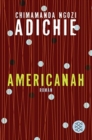 Americanah - Book