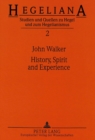 History, Spirit and Experience : Hegel's Conception of the Historical Task of Philosophy in His Age - Book