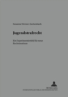 Jugendstrafrecht : Ein Experimentierfeld Fuer Neue Rechtsinstitute - Book